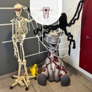 Maxi, Halloween, Skelett, Spinne