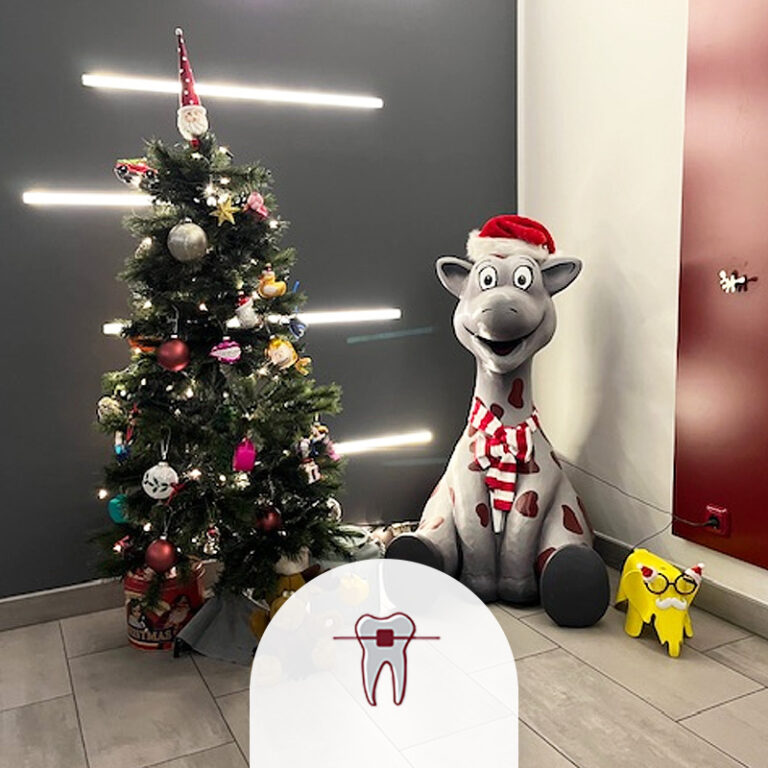 Maskottchen Maxi und Freunde, Weihnachtsdeko, Praxis Dr. Mareike Gedigk